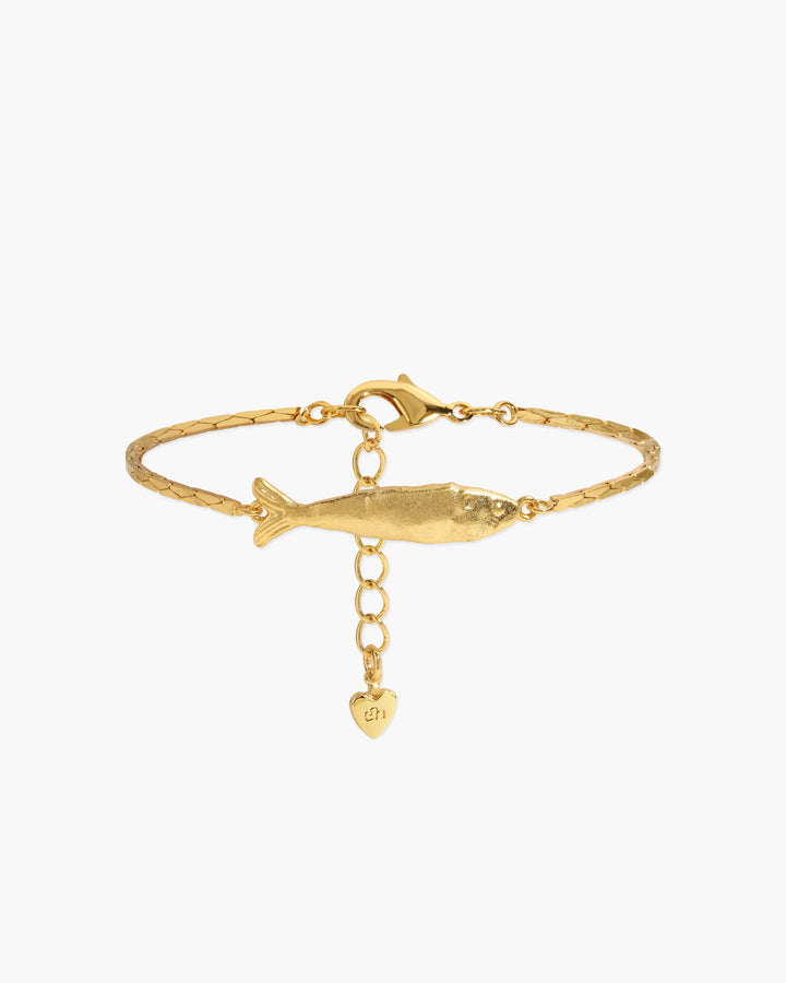 Anchovy Bracelet